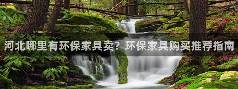 杏耀平台网页版