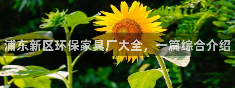 杏耀登陆测速