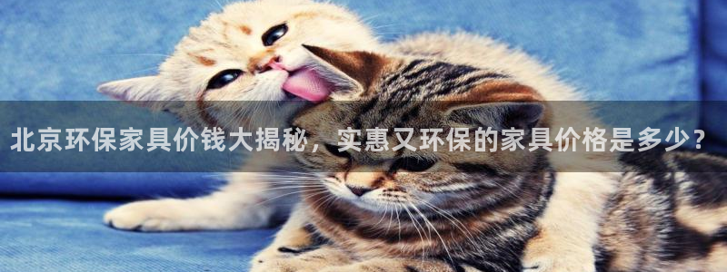 杏耀代理主管qq