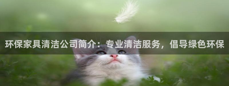 杏耀代理连接