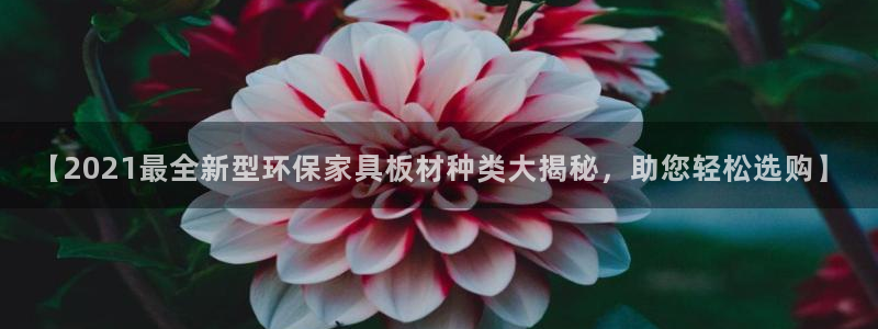 杏耀app怎样申请退款