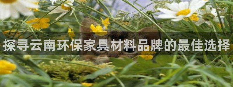 杏耀平台可以提款吗