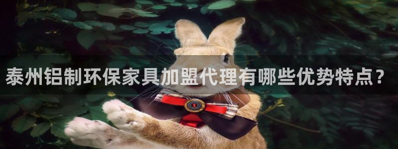 杏耀代理日工资多少