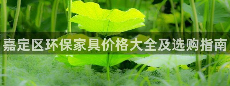 杏耀平台还在吗