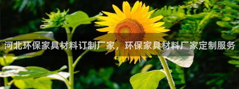 杏耀平台在哪里