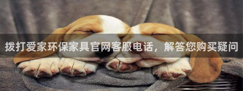 杏耀登入官网