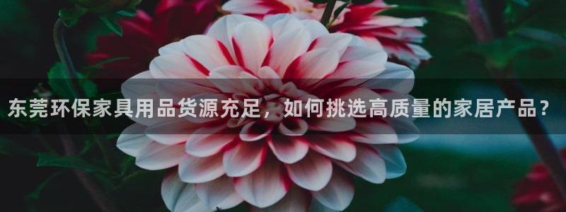 杏耀3代理