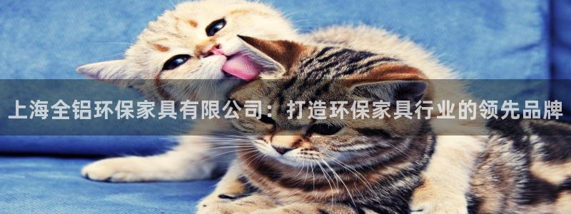 杏耀总代理