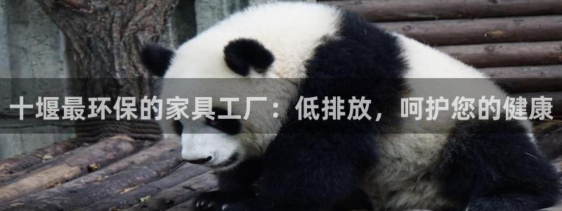 杏耀代理连接