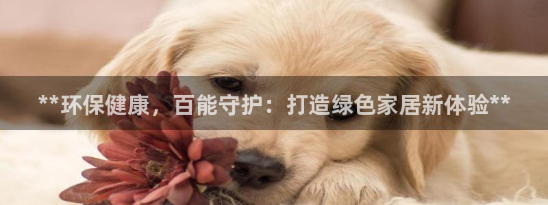 杏耀平台登陆测速