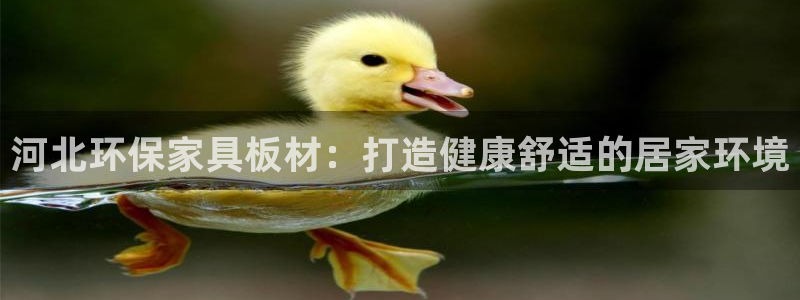 杏耀平台线路测速