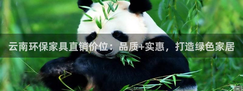 杏耀测速网址电脑版