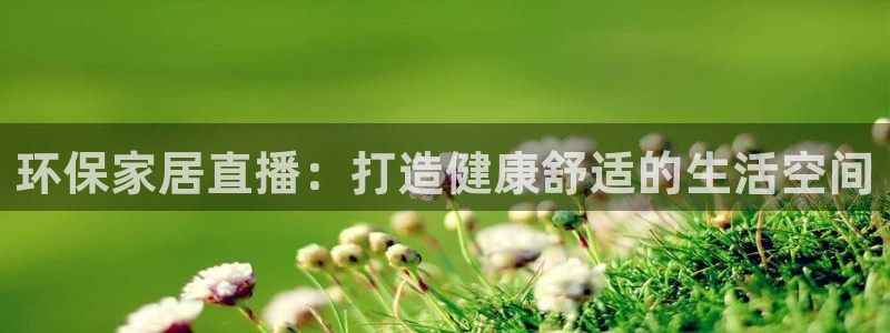 杏耀代理日工资多少