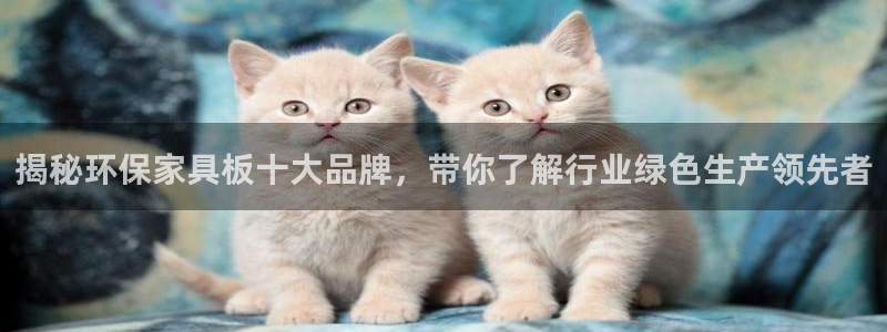 杏耀登陆测速