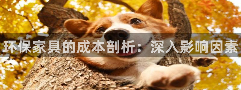杏耀登陆电脑线路测速